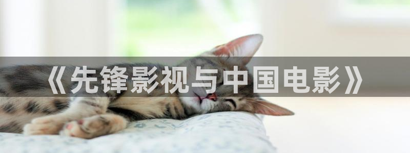 yy6090青苹果影院私人影院：《先锋影视与中国电影》