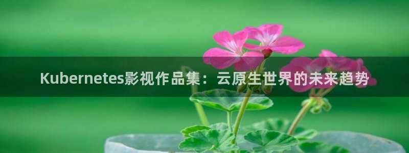 yy6090青苹果影院的播放量